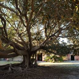 Giardino Di San Giuliano